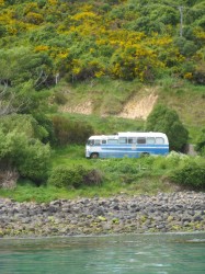 Blue Bus