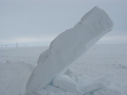 Leaning Snow